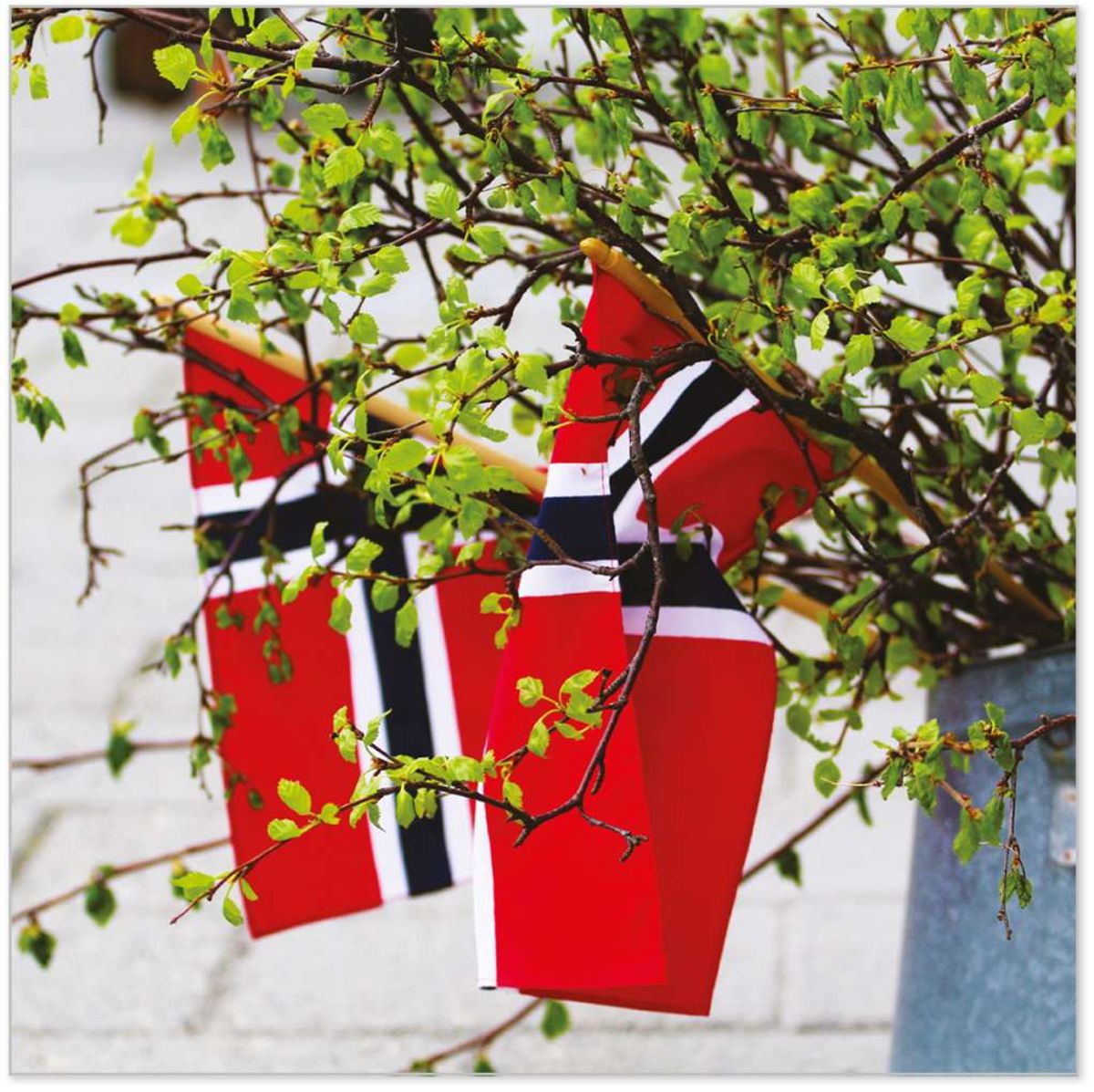 Serviett 17. Mai flagg bjørk